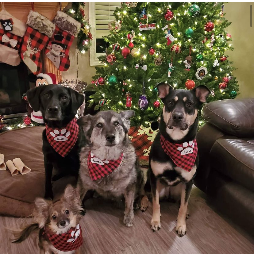 Christmas Dog and Cat Bandana
