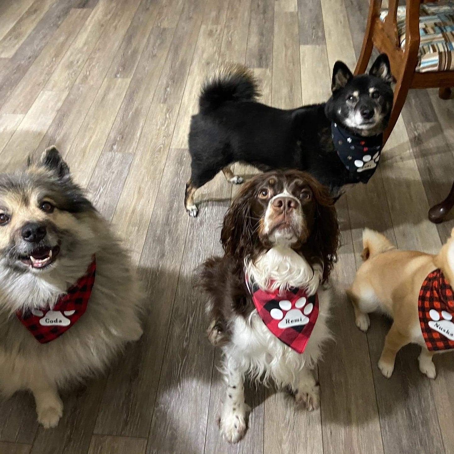 Christmas Dog and Cat Bandana