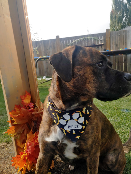 Halloween Dog Bandana