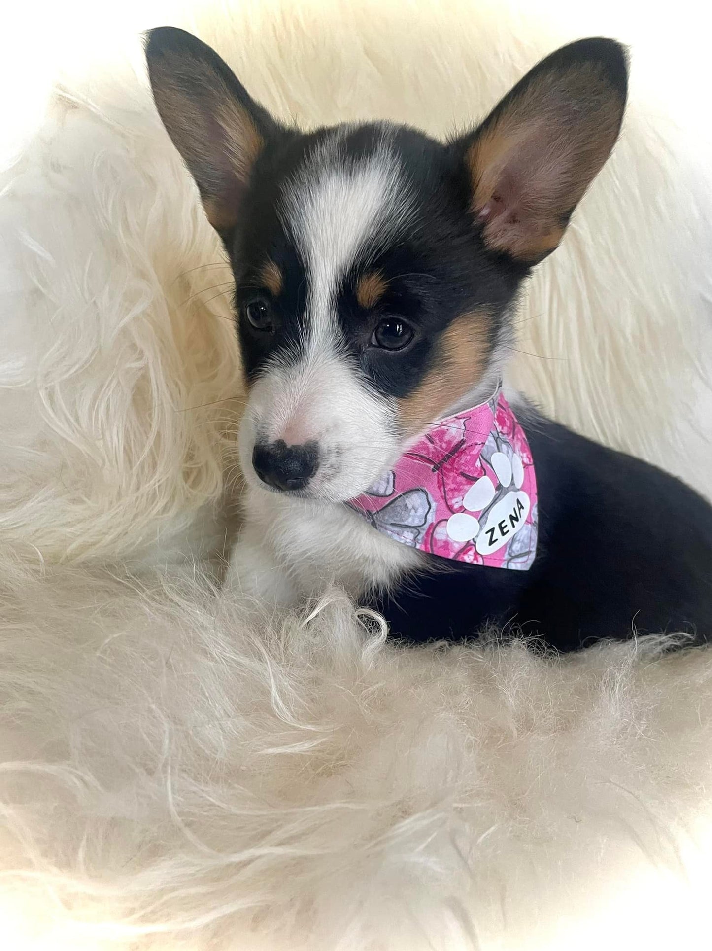 Dog Bandanas