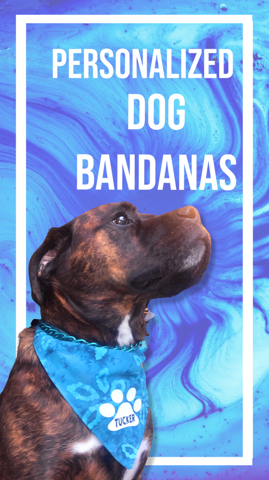 Dog Bandanas